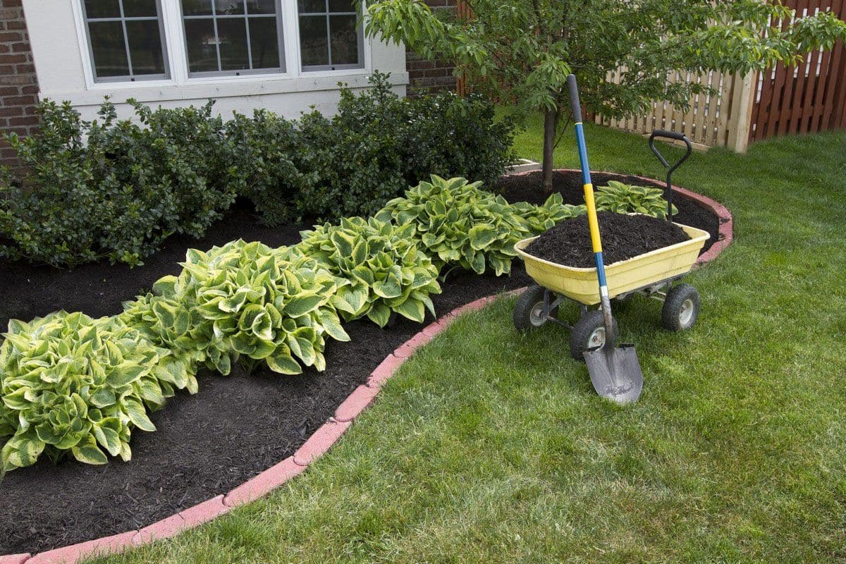 Black Mulch Bed Install in Owatonna, MN