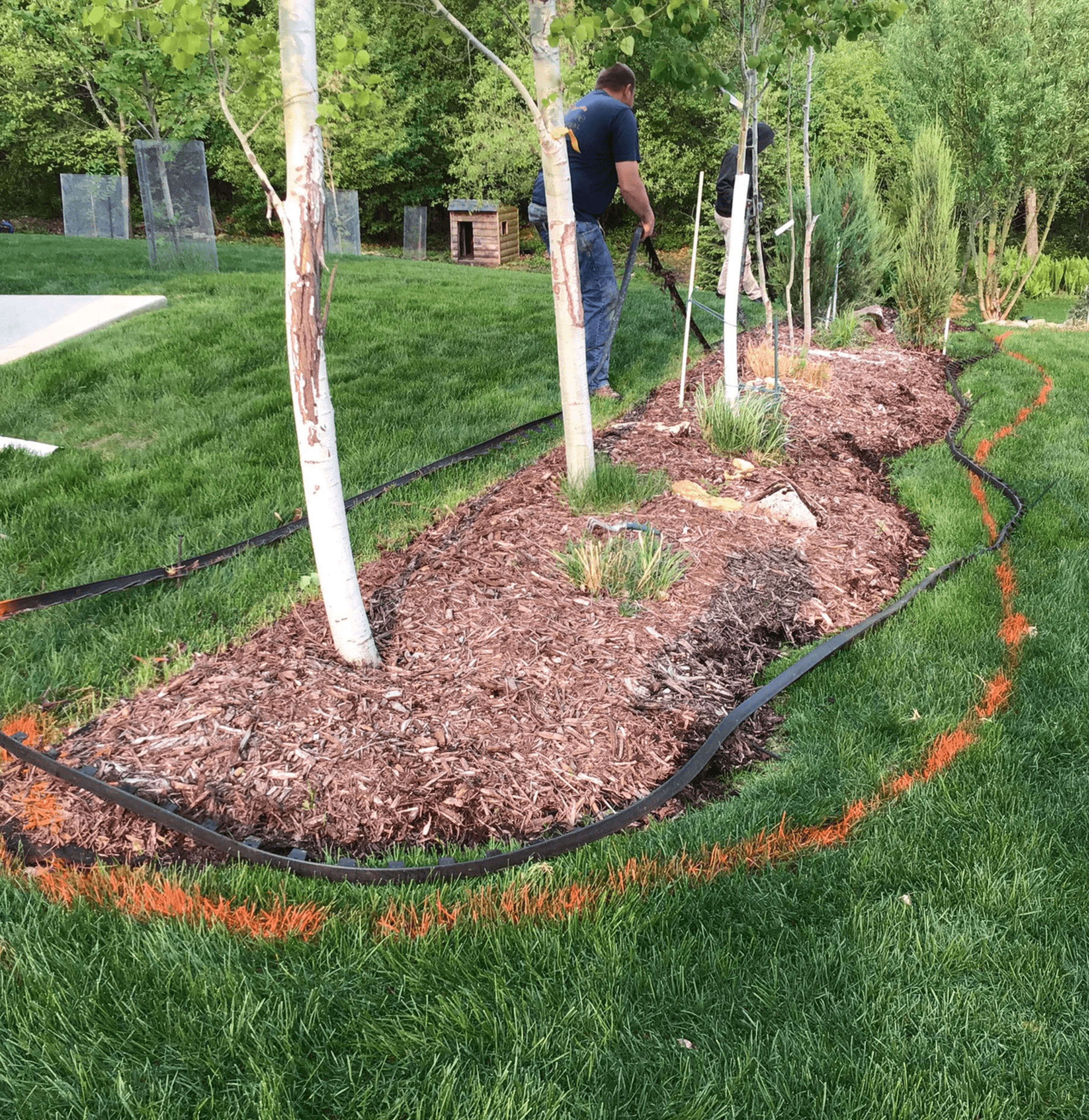 Birch Grove Mulch Beds in Waseca, MN