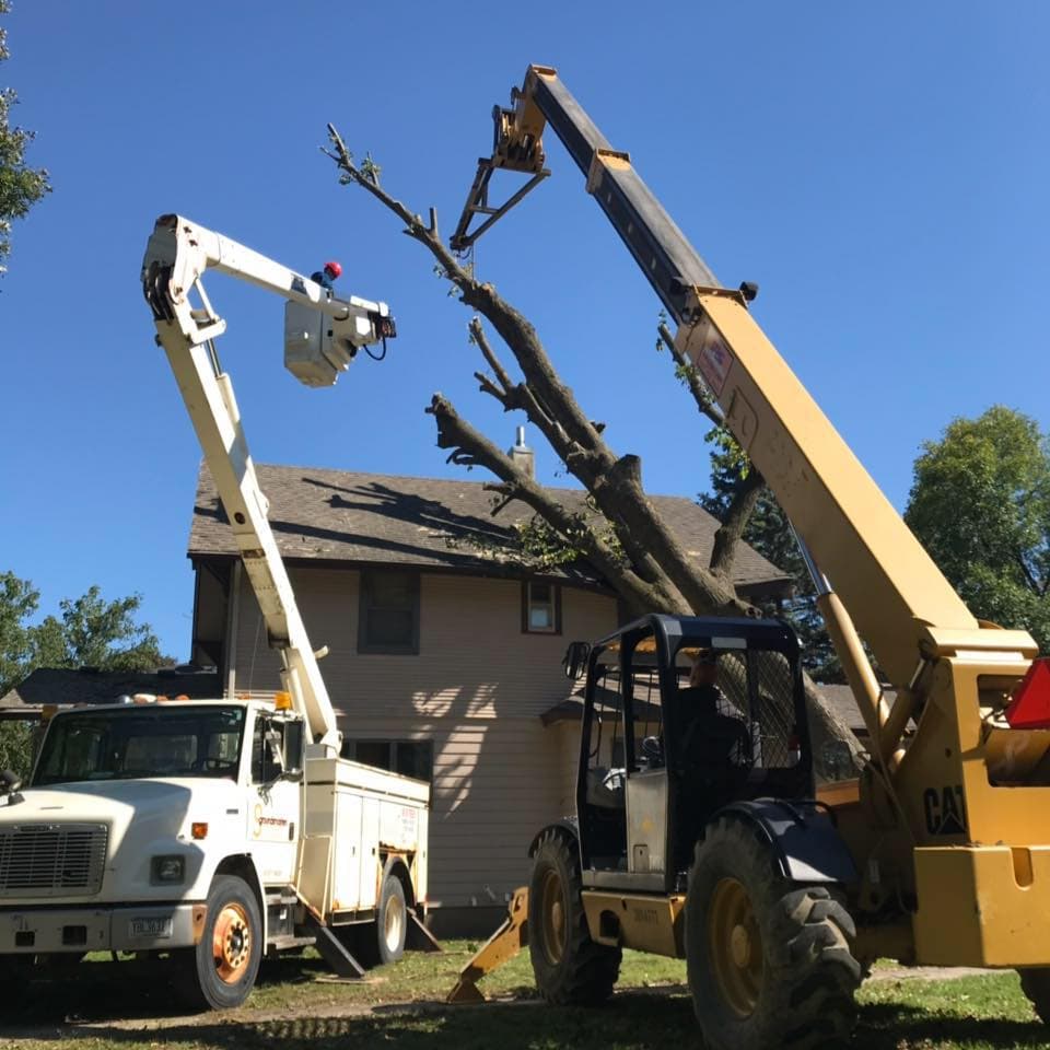 Heavy Equipment Tree Service in Waseca, MN